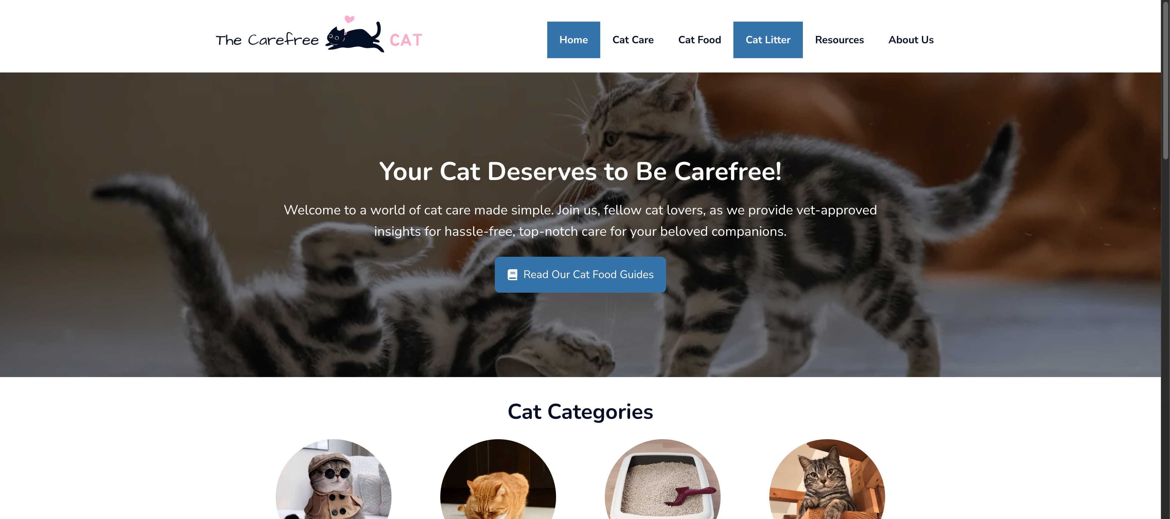 Cat WordPress Website Design